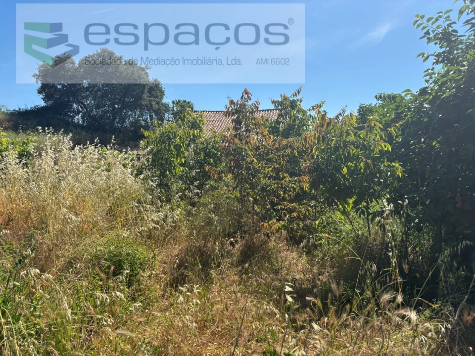 Terreno para Venda em Escalos de Baixo e Mata Foto 4