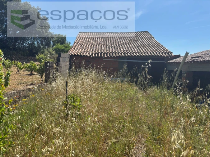 Terreno para Venda em Escalos de Baixo e Mata Foto 3