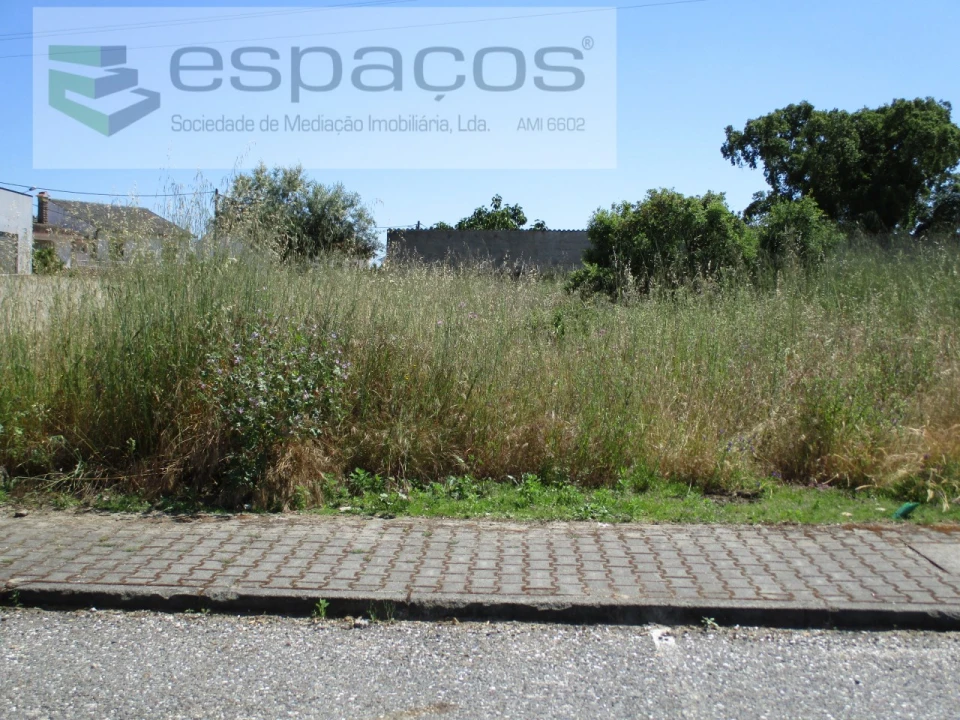 Terreno para Venda em Escalos de Cima e Lousa Foto 2