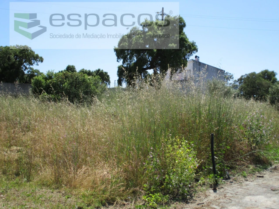 Terreno para Venda em Escalos de Cima e Lousa Foto 3