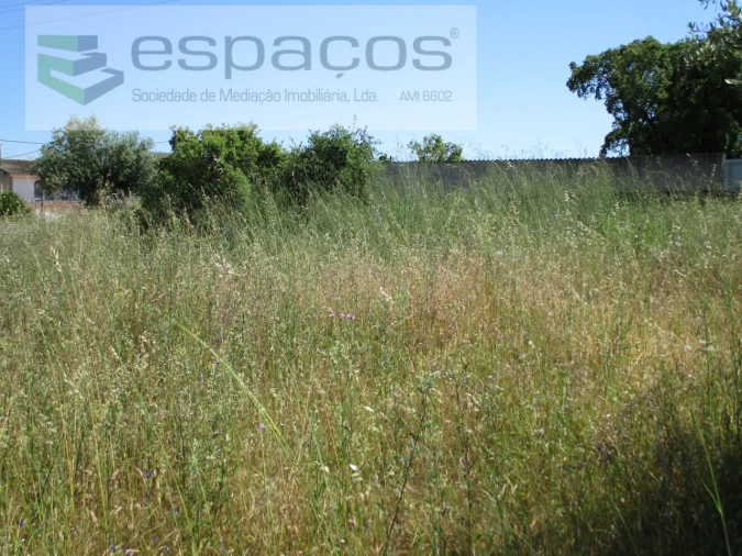 Terreno para Venda em Escalos de Cima e Lousa Foto 4