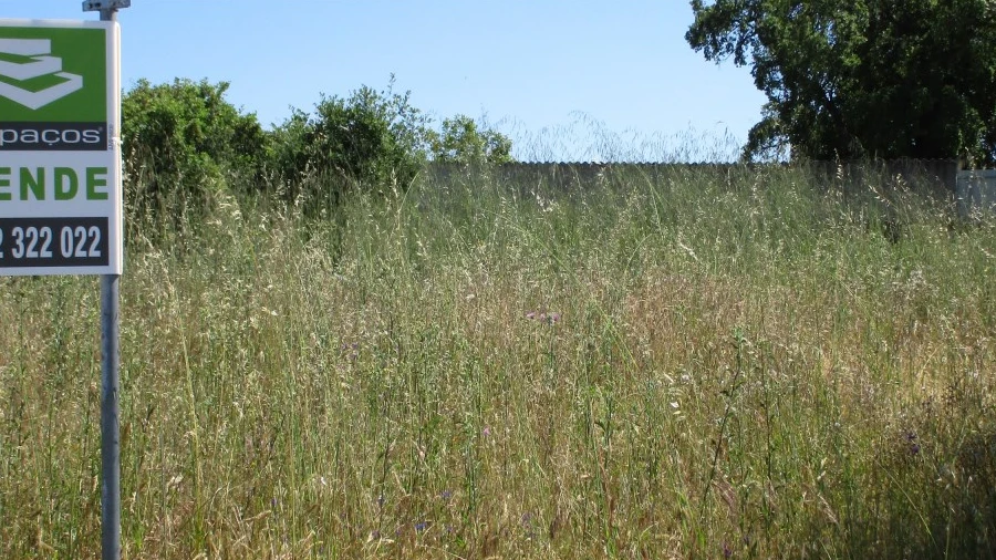Terreno para Venda em Escalos de Cima e Lousa