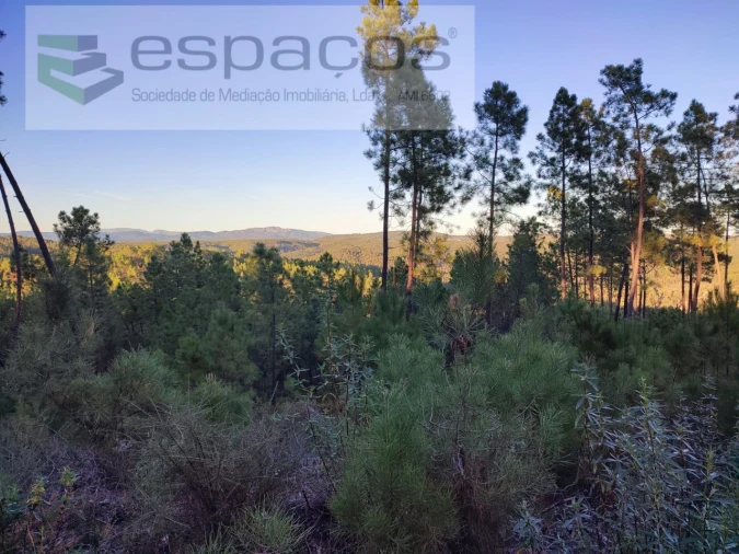 Terreno para Venda em Sarzedas Foto 4