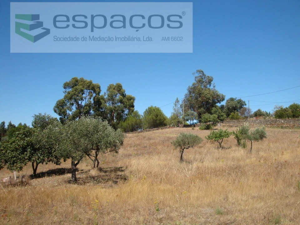 Terreno para Venda em Benquerenças Foto 2