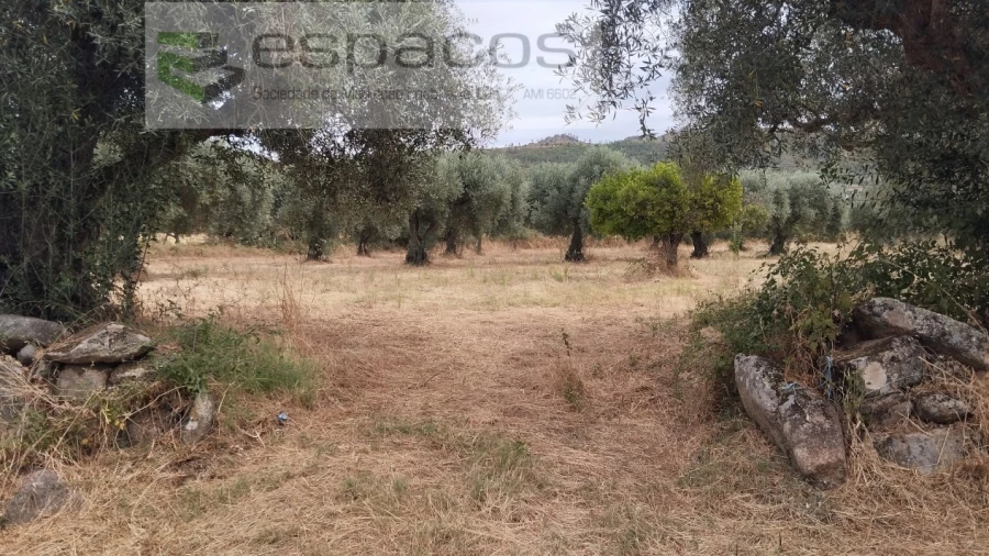 Terreno para Venda em Salvador