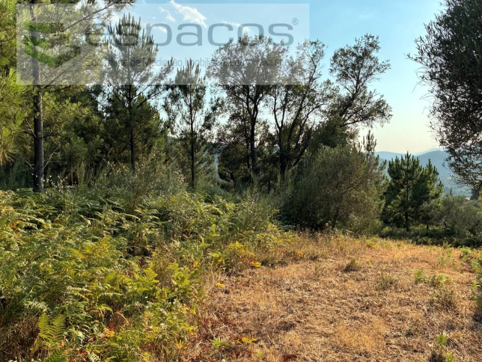Terreno para Venda em Lavacolhos Foto 8