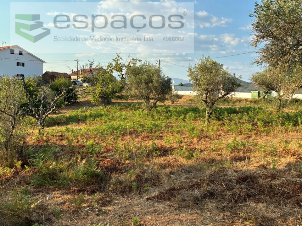 Terreno para Venda em Lavacolhos Foto 9
