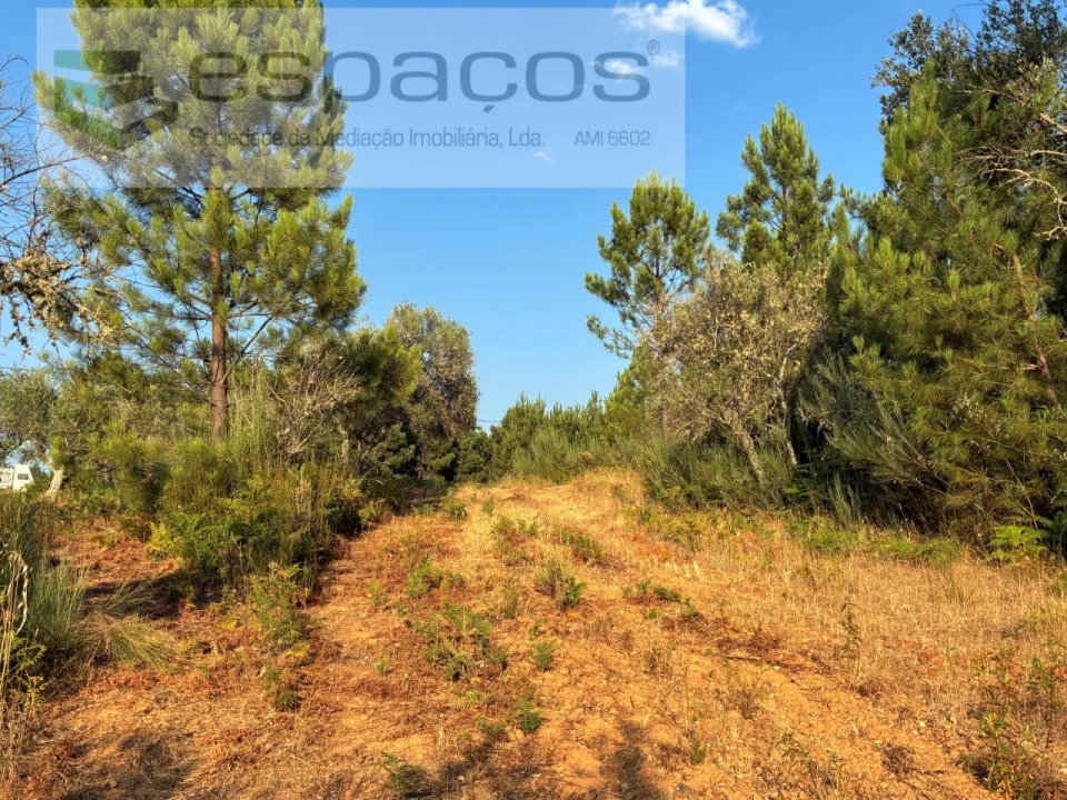 Terreno para Venda em Lavacolhos Foto 11