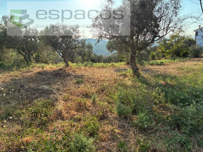 Terreno para Venda em Lavacolhos Foto 3