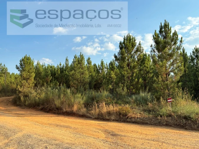 Terreno para Venda em Lavacolhos Foto 6