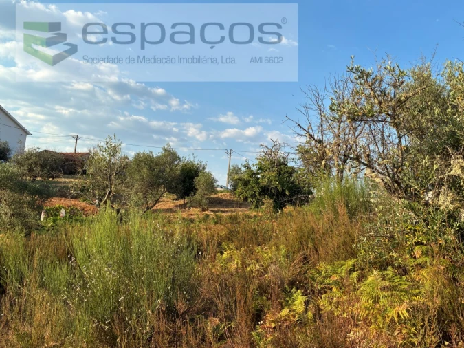 Terreno para Venda em Lavacolhos Foto 10