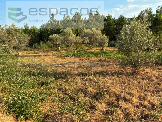 Terreno para Venda em Lavacolhos Foto 18