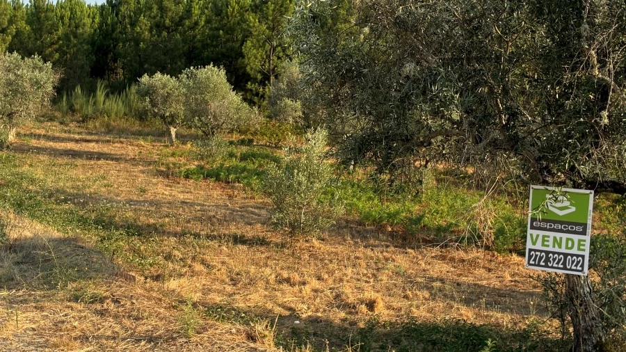 Terreno para Venda em Lavacolhos