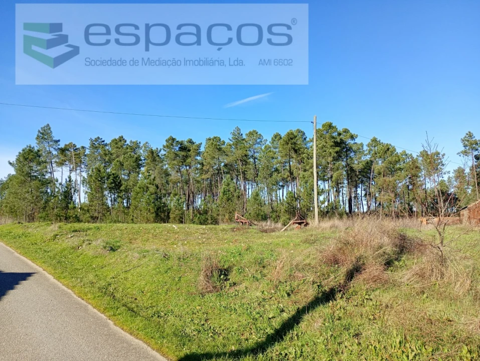 Terreno para Venda em Sarzedas Foto 2