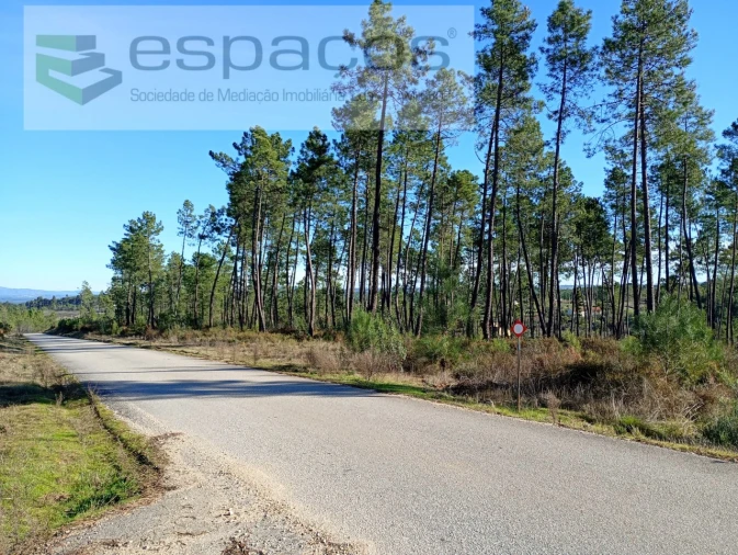 Terreno para Venda em Sarzedas Foto 6