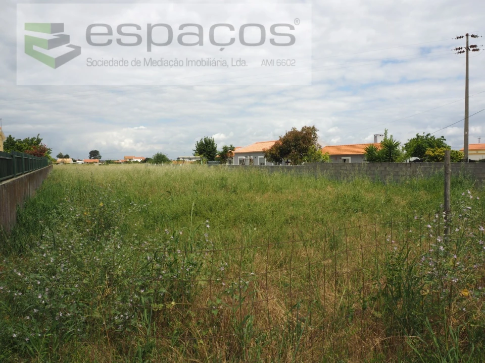 Terreno para Venda em Marinhais Foto 2