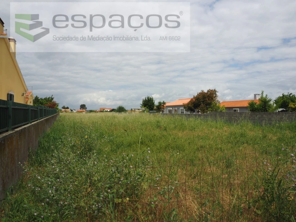 Terreno para Venda em Marinhais Foto 3