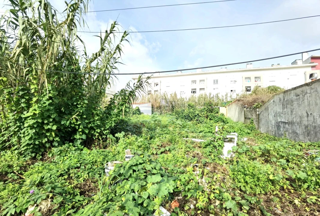 Terreno para Venda em Ajuda Foto 2