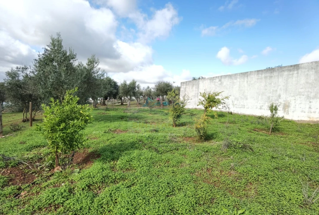 Terreno para Venda em Nossa Senhora da Conceição, São Brás dos Matos, Juromenha Foto 7