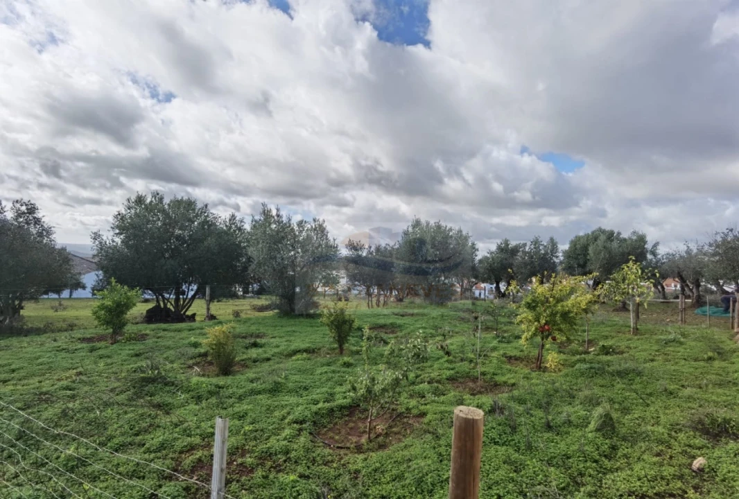 Terreno para Venda em Nossa Senhora da Conceição, São Brás dos Matos, Juromenha Foto 9