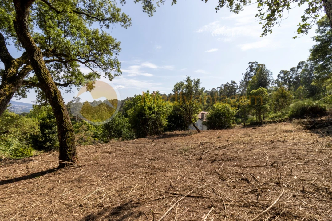 Terreno para Venda em Vila Verde e Barbudo Foto 2