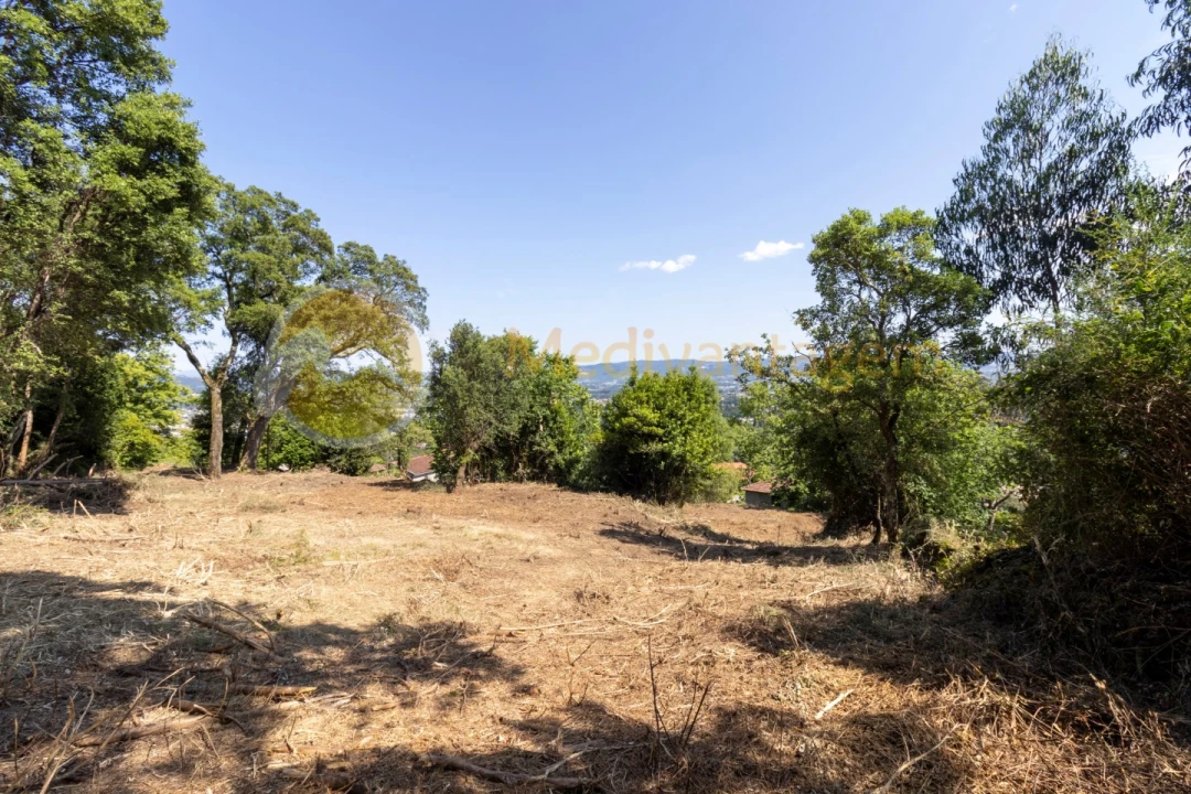 Terreno para Venda em Vila Verde e Barbudo Foto 3