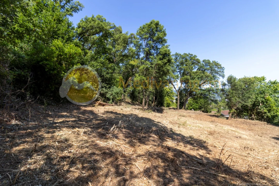 Terreno para Venda em Vila Verde e Barbudo Foto 4