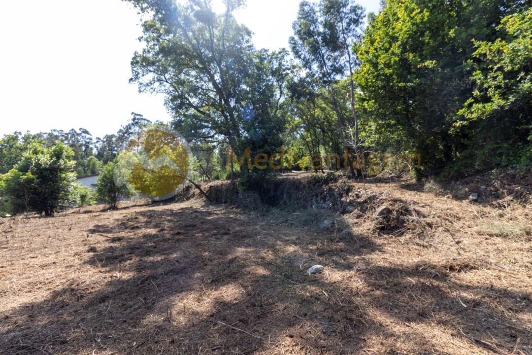 Terreno para Venda em Vila Verde e Barbudo Foto 5