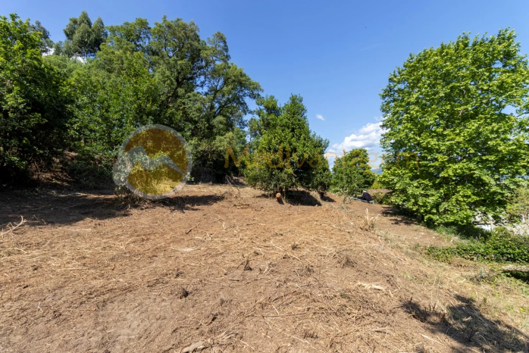 Terreno para Venda em Vila Verde e Barbudo Foto 6