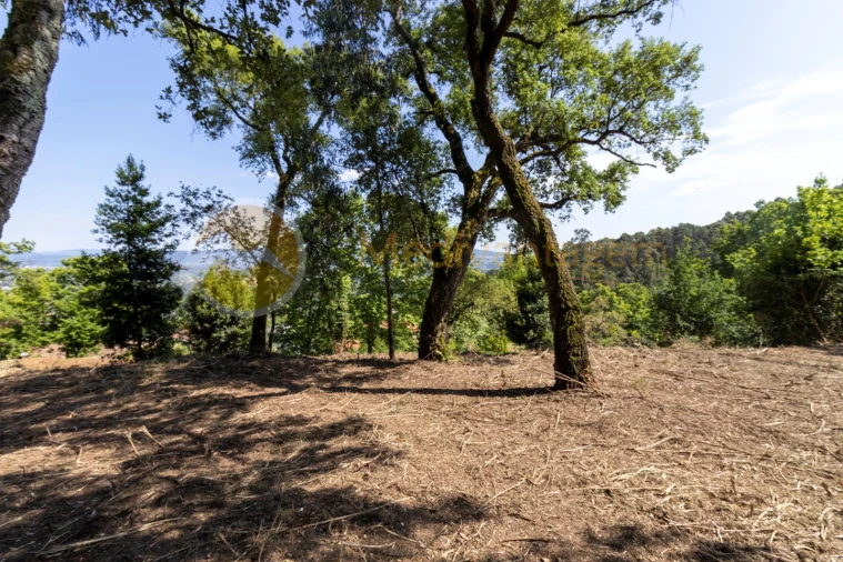 Terreno para Venda em Vila Verde e Barbudo Foto 1