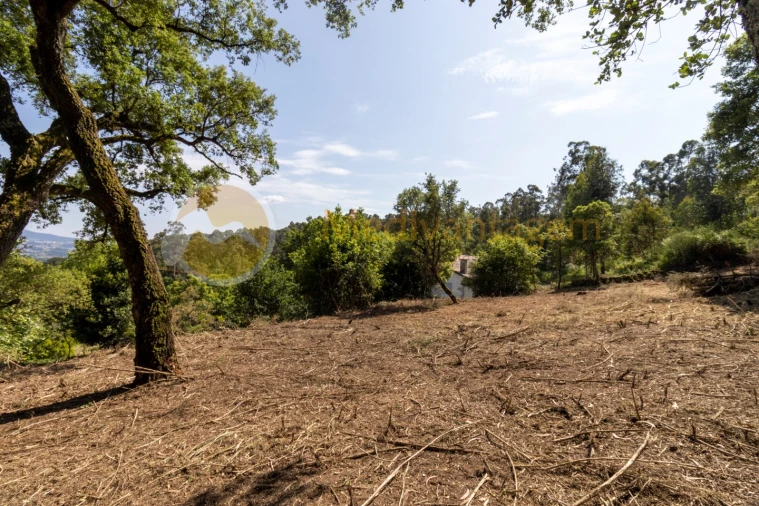 Terreno para Venda em Vila Verde e Barbudo Foto 2