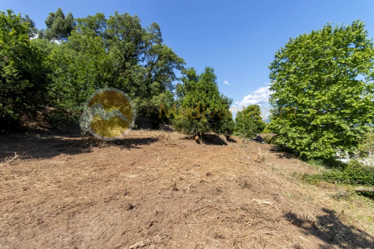 Terreno para Venda em Vila Verde e Barbudo Foto 6