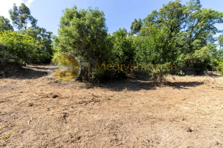 Terreno para Venda em Vila Verde e Barbudo Foto 7