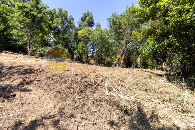 Terreno para Venda em Vila Verde e Barbudo Foto 8