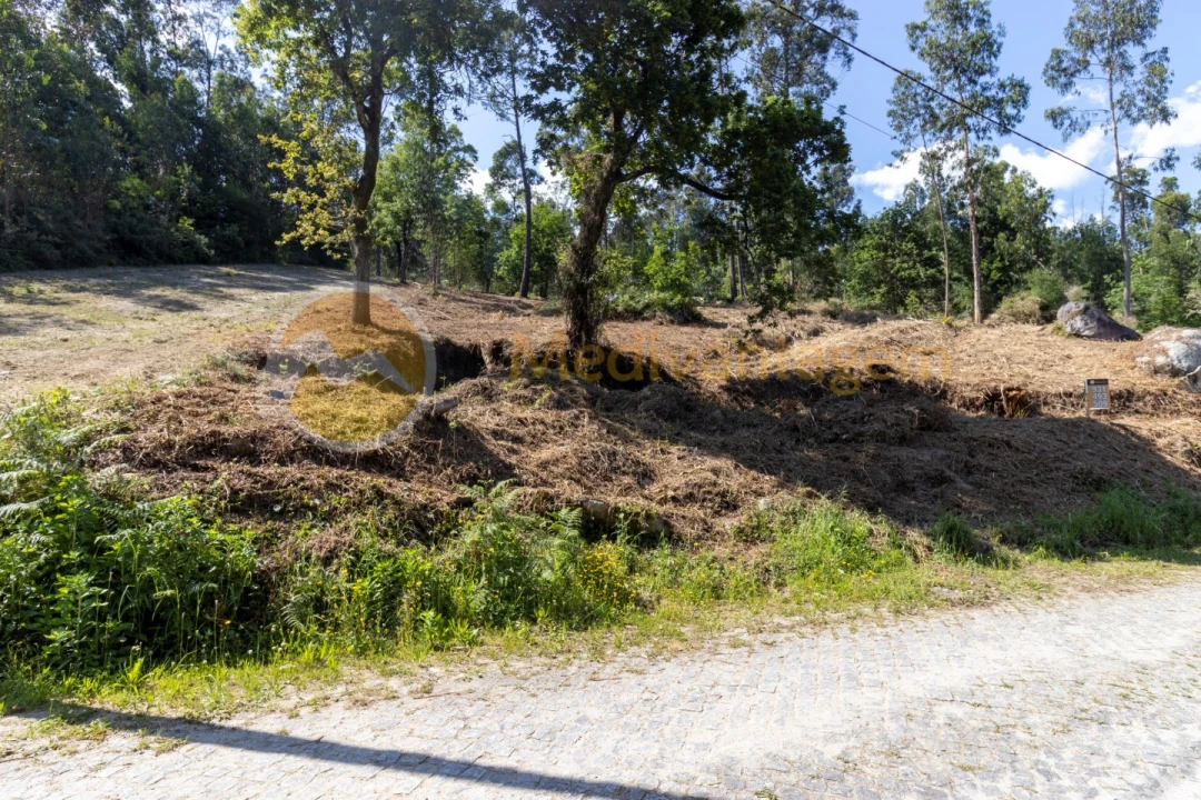 Terreno para Venda em Vila Verde e Barbudo Foto 1