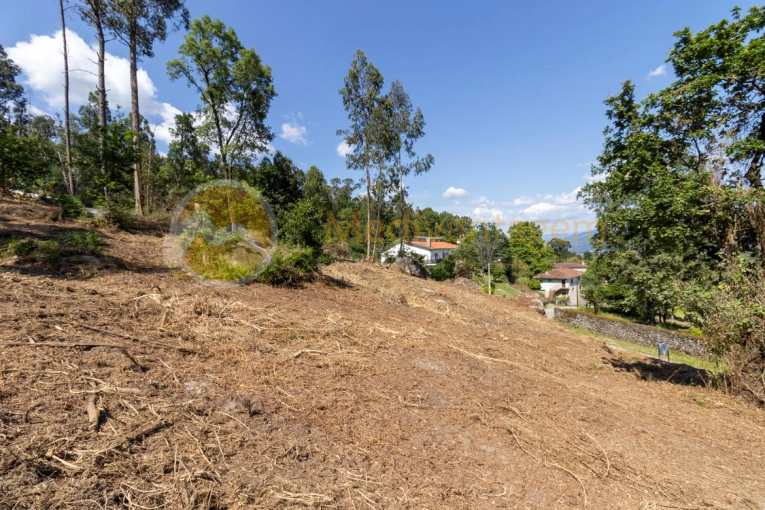 Terreno para Venda em Vila Verde e Barbudo Foto 3