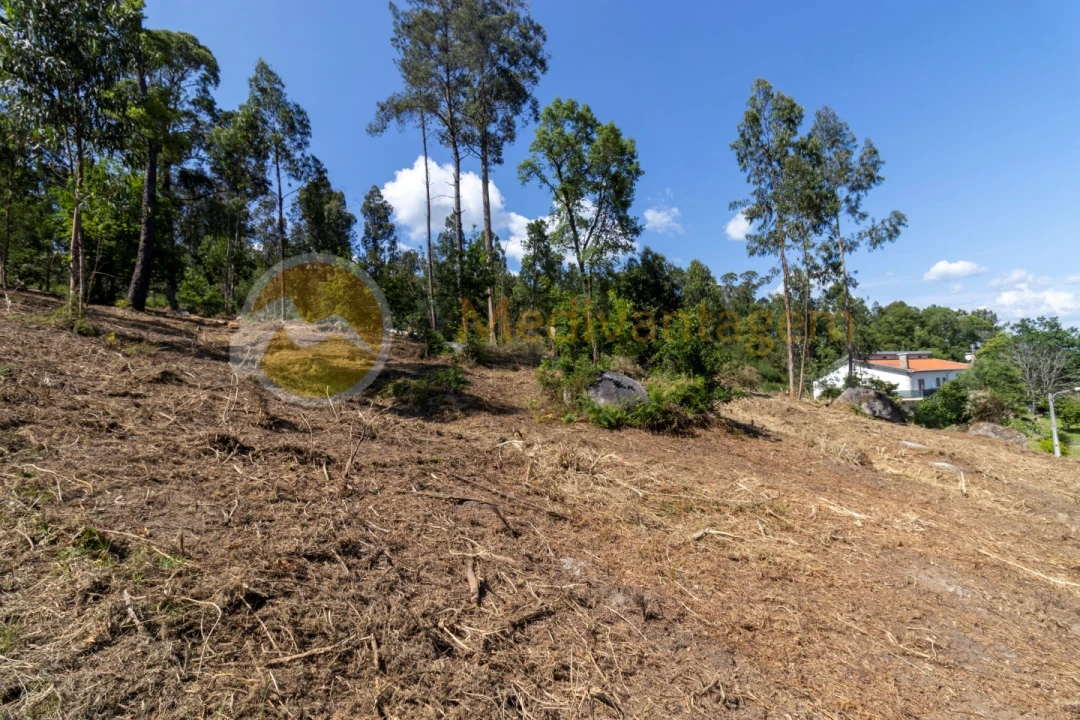 Terreno para Venda em Vila Verde e Barbudo Foto 4