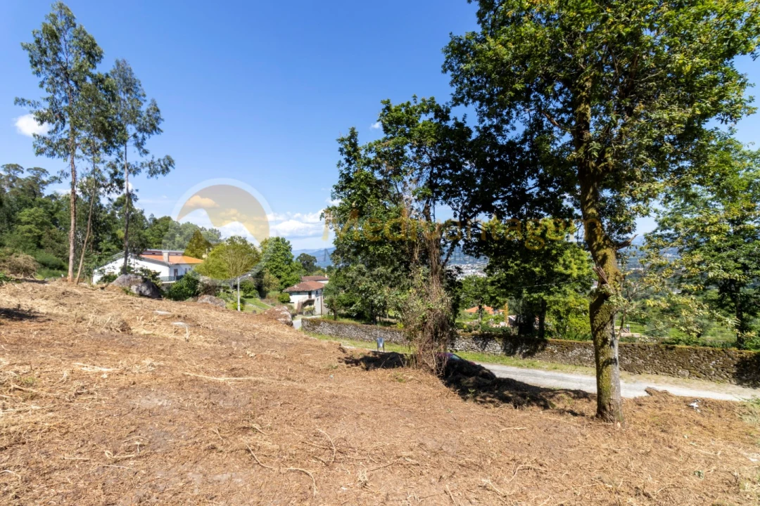 Terreno para Venda em Vila Verde e Barbudo Foto 5