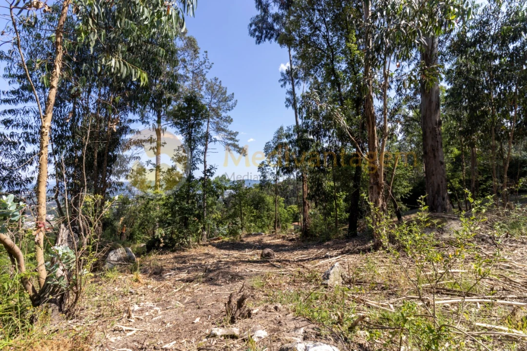 Terreno para Venda em Vila Verde e Barbudo Foto 9