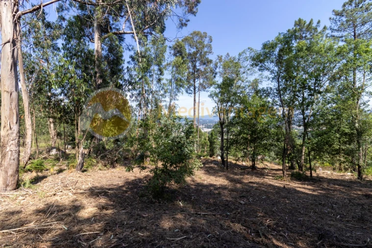 Terreno para Venda em Vila Verde e Barbudo Foto 7