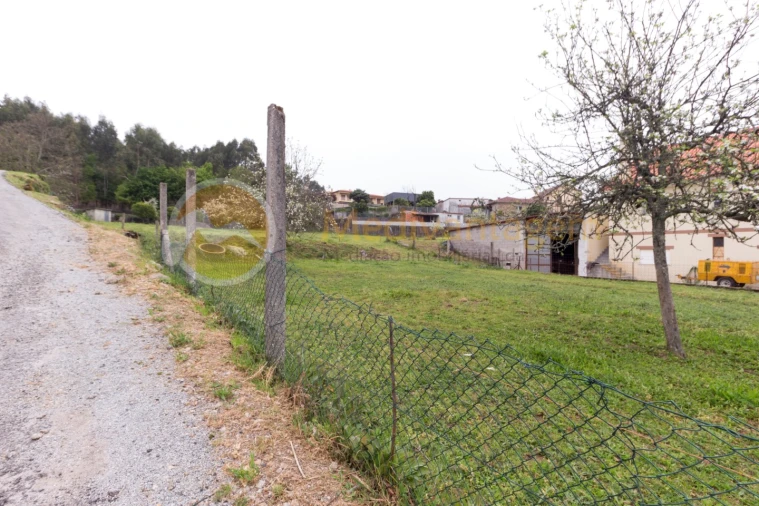 Terreno para Venda em Escariz (São Mamede) e Escariz (São Martinho) Foto 5