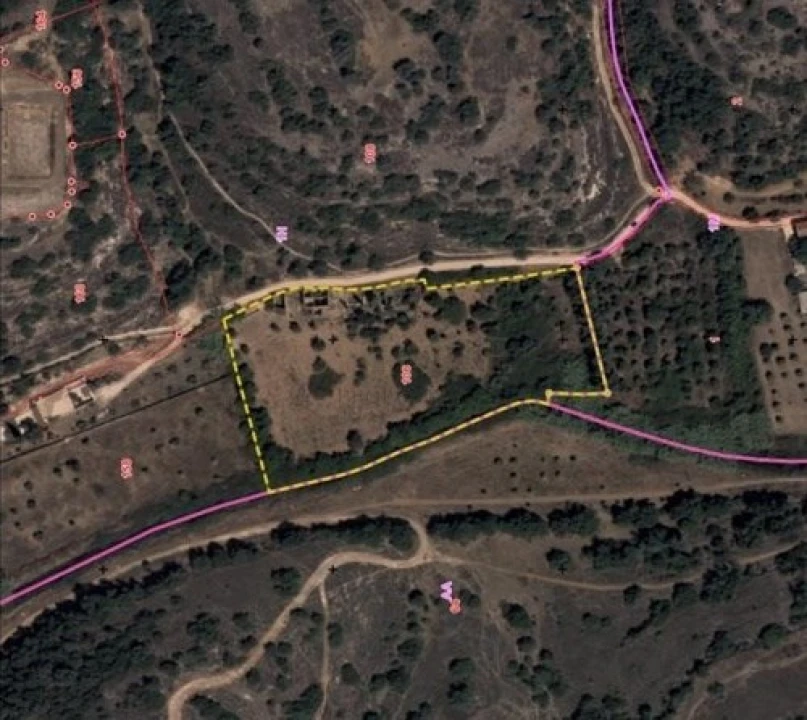 Terreno para Venda em Alcantarilha e Pêra Foto 2