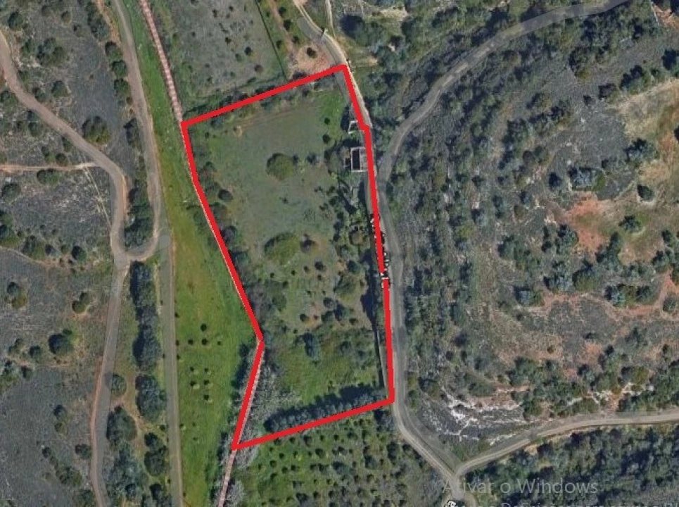 Terreno para Venda em Alcantarilha e Pêra Foto 3