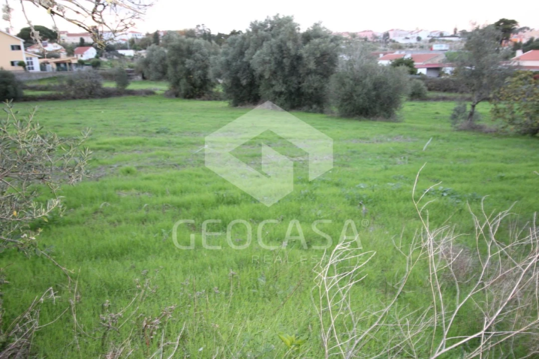 Terreno para Venda em Rio de Mouro Foto 3