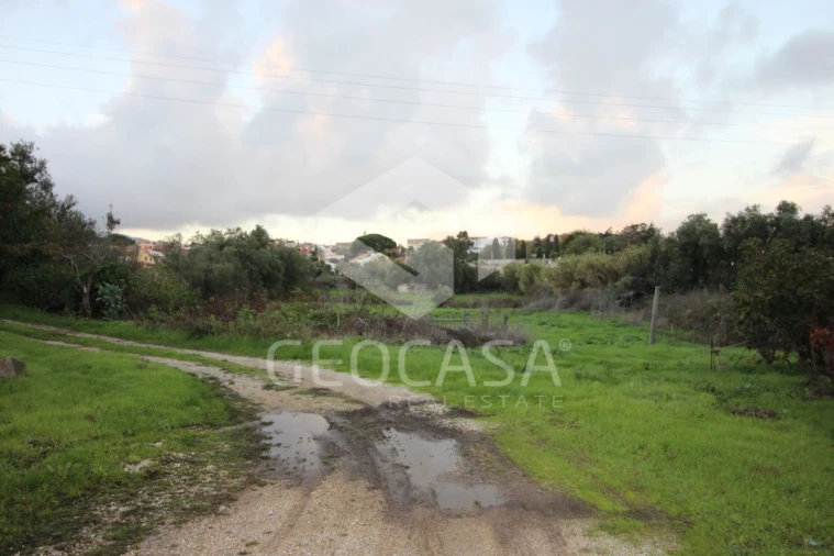 Terreno para Venda em Rio de Mouro Foto 4