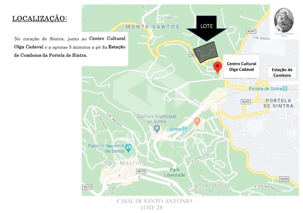 Terreno para Venda em Santa Maria e São Miguel, São Martinho, São Pedro Penaferrim Foto 6