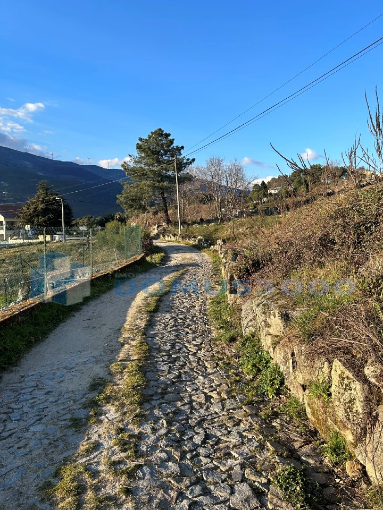 Terreno para Venda em Adoufe e Vilarinho de Samardã Foto 11