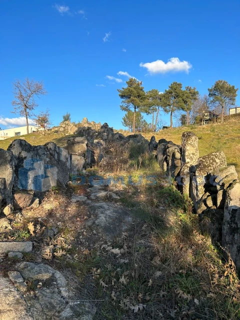 Terreno para Venda em Adoufe e Vilarinho de Samardã