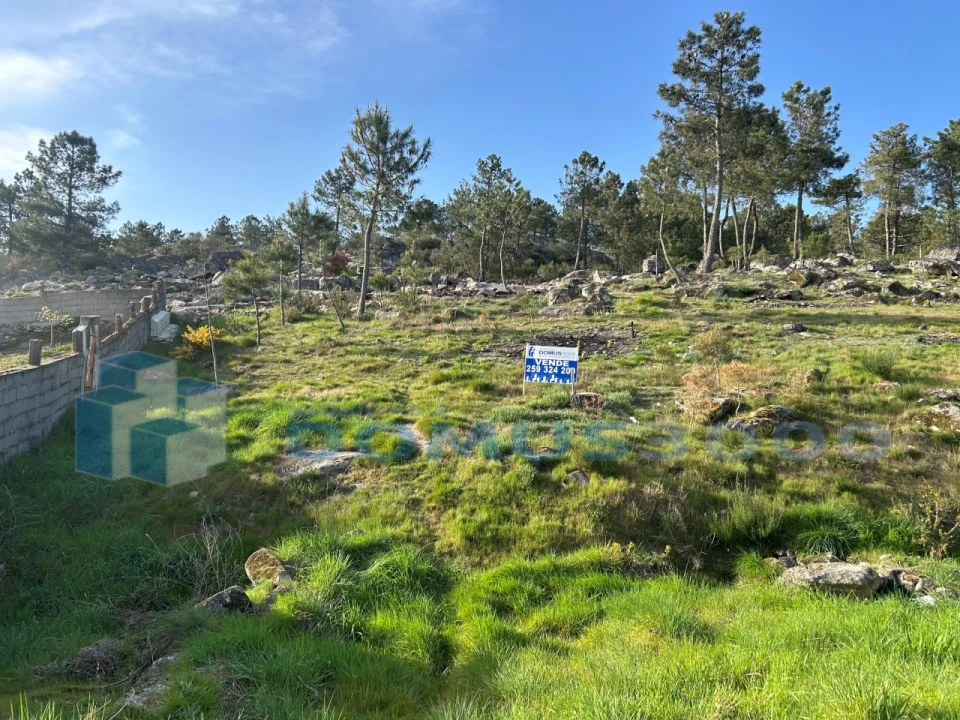 Terreno para Venda em Mouçós e Lamares Foto 3