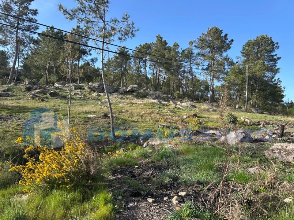 Terreno para Venda em Mouçós e Lamares Foto 4